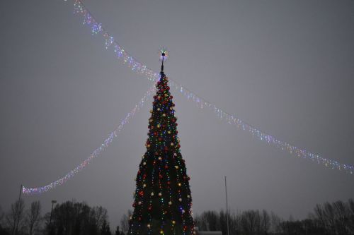 В Кайбицах состоялось открытие главной елки района