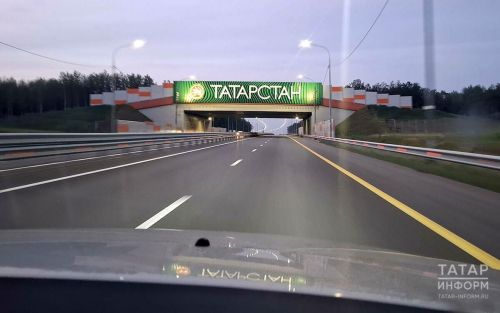 На М12 в Чувашии грузовик сбил автомобилиста, который менял колесо на обочине