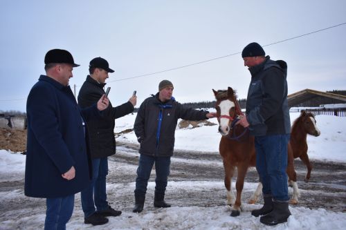 Глава Кайбицкого района совместно с министром Минземимущества РТ побывали в обществе «Туган як-Агро»