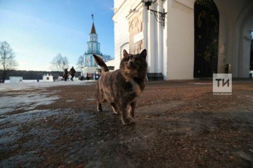 В Татарстане воздух прогреется до +20 градусов