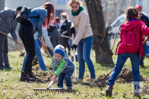 Татарстанцев пригласили определить место центрального субботника в апреле
