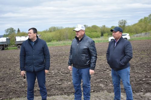 Кайбыч районы башлыгы язгы кыр эшләре барышы белән танышты
