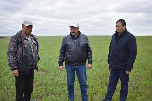 Кайбыч районы башлыгы язгы кыр эшләре барышы белән танышты