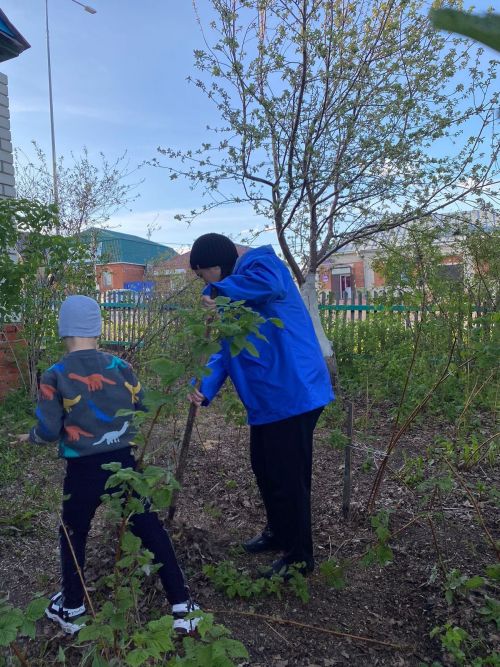 Тимуровцы из Кайбицкого муниципального района помогли бабушке убрать двор