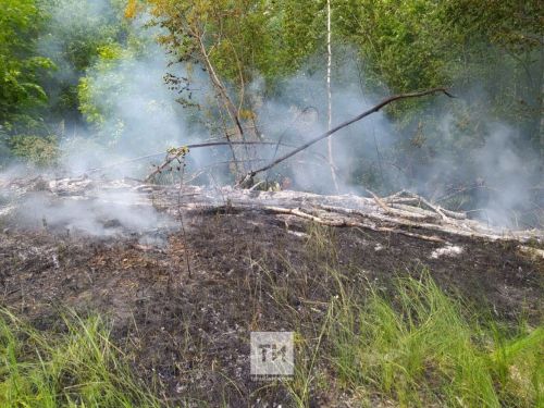 Причиной пожара в летний период может стать поджог тополиного пуха
