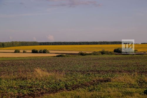 Многодетным семьям в городах Татарстана предложат земли в близлежащих районах