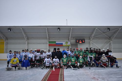 В Кайбицах прошел первый день Всероссийских соревнований юных хоккеистов на приз клуба «Золотая шайба»