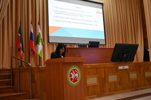 Учреждения сферы социальной защиты Кайбицкого района подвели итоги
