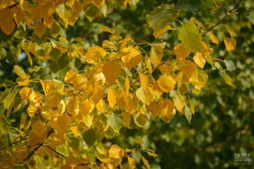В Татарстане 6 октября ожидается облачная погода без осадков