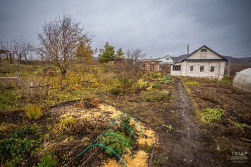 Многодетные семьи Татарстана получили более 54 тысяч земельных участков