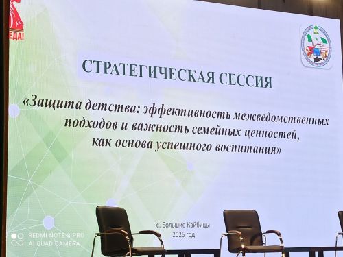 В Кайбицах прошла стратегическая сессия по защите детства