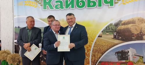 В Кайбицах впервые надоили сто тонн молока: на слете передовиков сельского хозяйства аплодировали достижению года!
