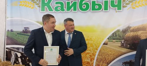 В Кайбицах впервые надоили сто тонн молока: на слете передовиков сельского хозяйства аплодировали достижению года!
