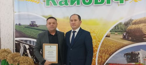 В Кайбицах впервые надоили сто тонн молока: на слете передовиков сельского хозяйства аплодировали достижению года!