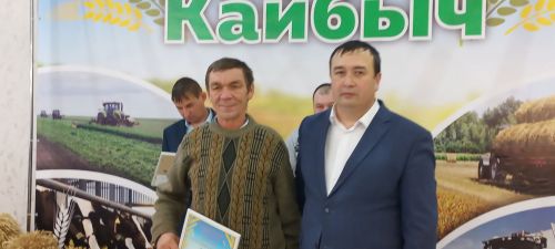 В Кайбицах впервые надоили сто тонн молока: на слете передовиков сельского хозяйства аплодировали достижению года!