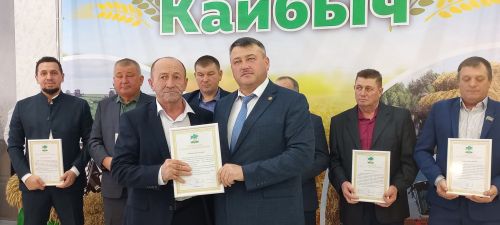 В Кайбицах впервые надоили сто тонн молока: на слете передовиков сельского хозяйства аплодировали достижению года!