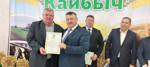 В Кайбицах впервые надоили сто тонн молока: на слете передовиков сельского хозяйства аплодировали достижению года!