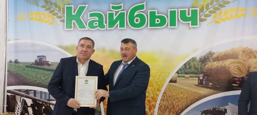 В Кайбицах впервые надоили сто тонн молока: на слете передовиков сельского хозяйства аплодировали достижению года!