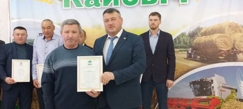 В Кайбицах впервые надоили сто тонн молока: на слете передовиков сельского хозяйства аплодировали достижению года!