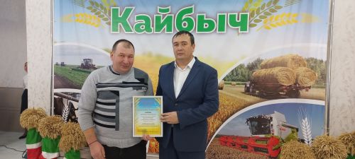 В Кайбицах впервые надоили сто тонн молока: на слете передовиков сельского хозяйства аплодировали достижению года!
