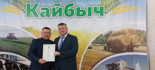 В Кайбицах впервые надоили сто тонн молока: на слете передовиков сельского хозяйства аплодировали достижению года!