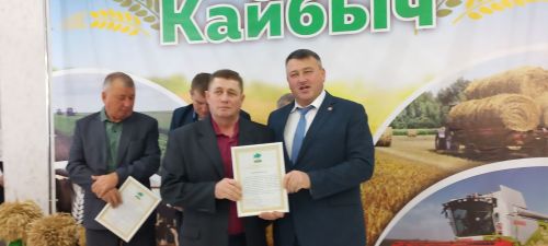 В Кайбицах впервые надоили сто тонн молока: на слете передовиков сельского хозяйства аплодировали достижению года!