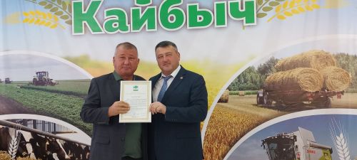 В Кайбицах впервые надоили сто тонн молока: на слете передовиков сельского хозяйства аплодировали достижению года!