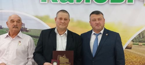 В Кайбицах впервые надоили сто тонн молока: на слете передовиков сельского хозяйства аплодировали достижению года!
