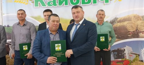 В Кайбицах впервые надоили сто тонн молока: на слете передовиков сельского хозяйства аплодировали достижению года!