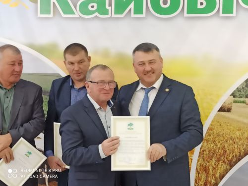 В Кайбицах впервые надоили сто тонн молока: на слете передовиков сельского хозяйства аплодировали достижению года!