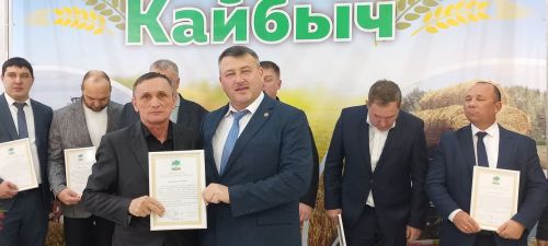 В Кайбицах впервые надоили сто тонн молока: на слете передовиков сельского хозяйства аплодировали достижению года!