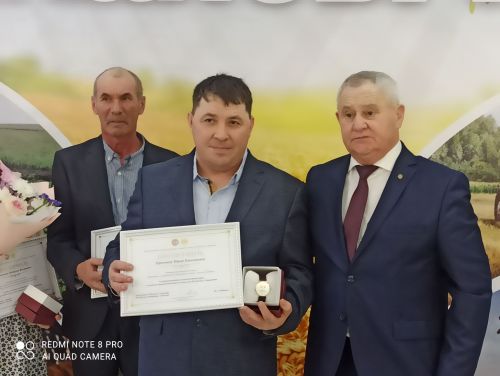В Кайбицах впервые надоили сто тонн молока: на слете передовиков сельского хозяйства аплодировали достижению года!