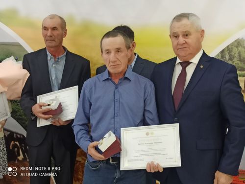 В Кайбицах впервые надоили сто тонн молока: на слете передовиков сельского хозяйства аплодировали достижению года!