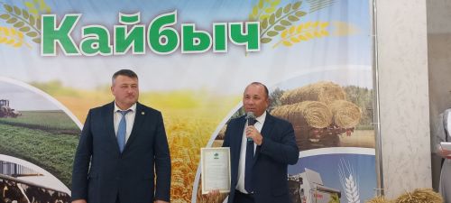 В Кайбицах впервые надоили сто тонн молока: на слете передовиков сельского хозяйства аплодировали достижению года!