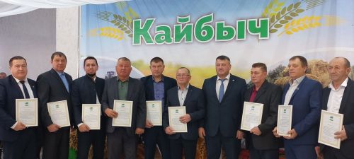В Кайбицах впервые надоили сто тонн молока: на слете передовиков сельского хозяйства аплодировали достижению года!