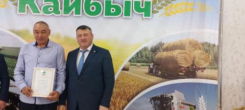 В Кайбицах впервые надоили сто тонн молока: на слете передовиков сельского хозяйства аплодировали достижению года!