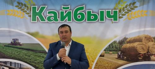 В Кайбицах впервые надоили сто тонн молока: на слете передовиков сельского хозяйства аплодировали достижению года!