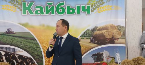 В Кайбицах впервые надоили сто тонн молока: на слете передовиков сельского хозяйства аплодировали достижению года!