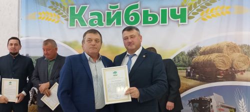 В Кайбицах впервые надоили сто тонн молока: на слете передовиков сельского хозяйства аплодировали достижению года!