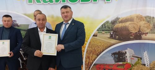 В Кайбицах впервые надоили сто тонн молока: на слете передовиков сельского хозяйства аплодировали достижению года!