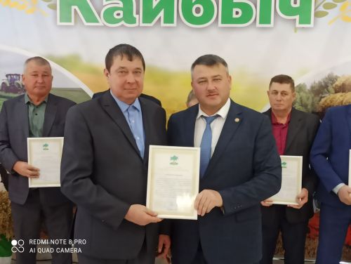 В Кайбицах впервые надоили сто тонн молока: на слете передовиков сельского хозяйства аплодировали достижению года!