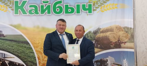 В Кайбицах впервые надоили сто тонн молока: на слете передовиков сельского хозяйства аплодировали достижению года!