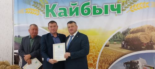 В Кайбицах впервые надоили сто тонн молока: на слете передовиков сельского хозяйства аплодировали достижению года!