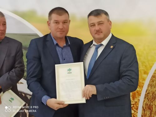 В Кайбицах впервые надоили сто тонн молока: на слете передовиков сельского хозяйства аплодировали достижению года!