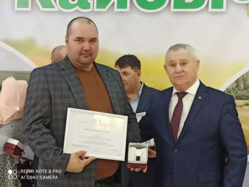 В Кайбицах впервые надоили сто тонн молока: на слете передовиков сельского хозяйства аплодировали достижению года!