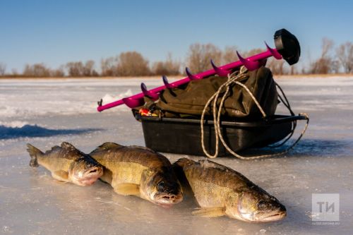 На Каме спасли пожилого рыбака, который оказался отрезан водой на льду