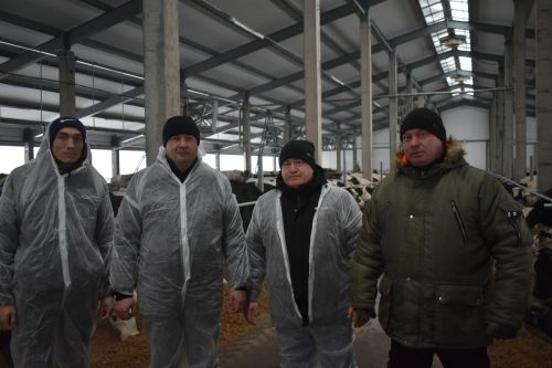 «Туган як-Агро» җәмгыятендә Яңа ел алдыннан икенче фермаларын кулланылышка тапшырдылар