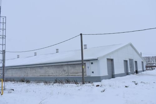 «Туган як-Агро» җәмгыятендә Яңа ел алдыннан икенче фермаларын кулланылышка тапшырдылар