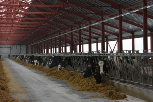 Общество «Август-Кайбицы» посетил Александр Усков