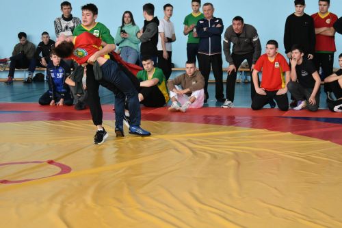 Кайбычта Россия Герое истәлегенә көрәш буенча ярыш үтте